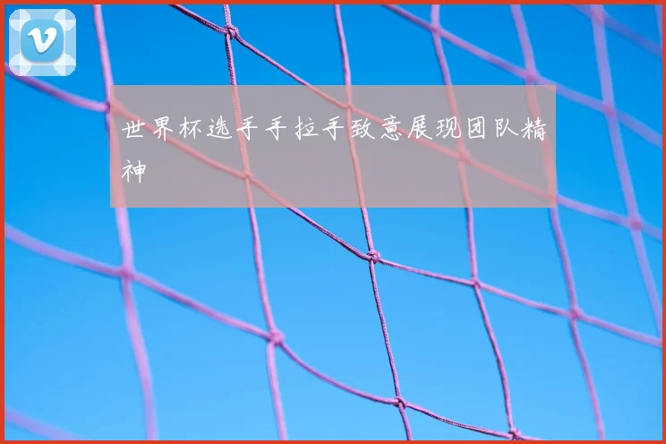 世界杯选手手拉手致意展现团队精神