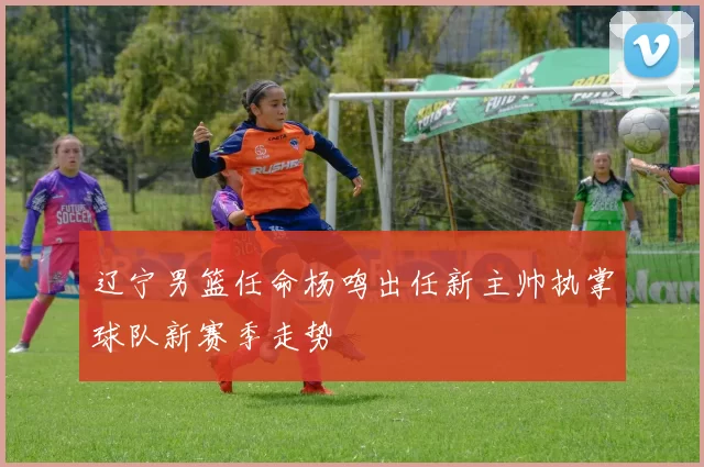 辽宁男篮任命杨鸣出任新主帅执掌球队新赛季走势