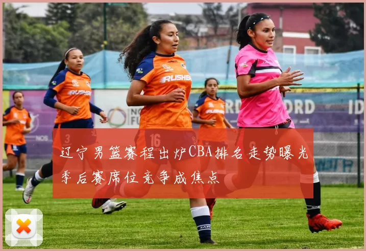 辽宁男篮赛程出炉CBA排名走势曝光季后赛席位竞争成焦点