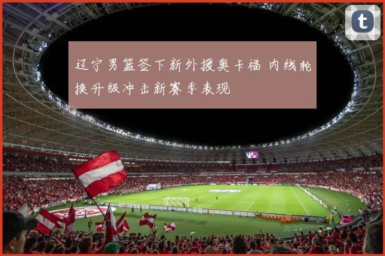 辽宁男篮签下新外援奥卡福 内线轮换升级冲击新赛季表现