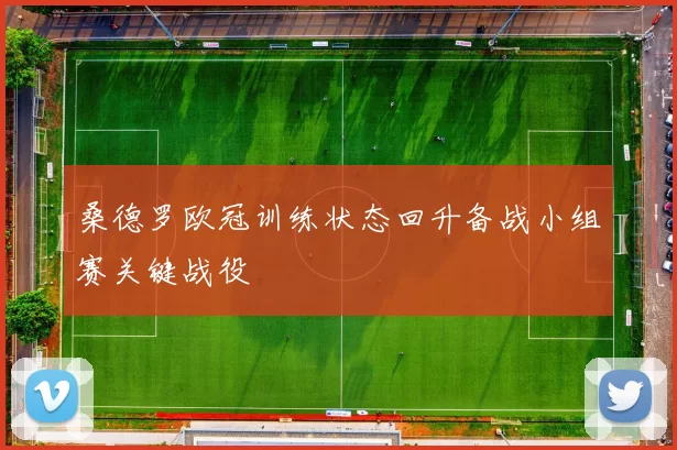 桑德罗欧冠训练状态回升备战小组赛关键战役